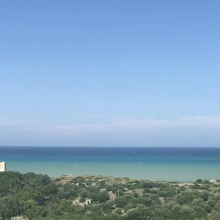 Gli Stingi 4*