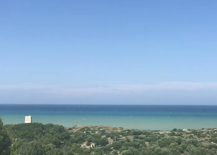 Gli Stingi 4*
